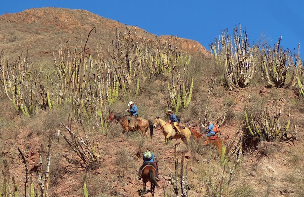 mexico horseback riding vacations