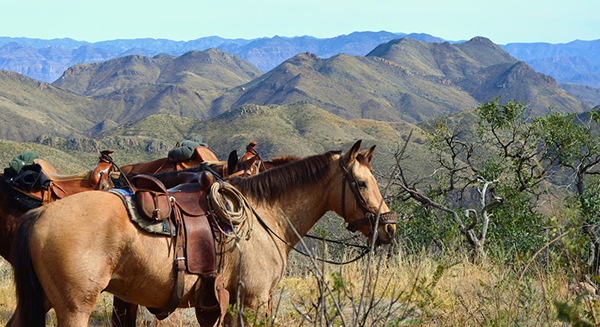 rancho los banos mexico horseback riding