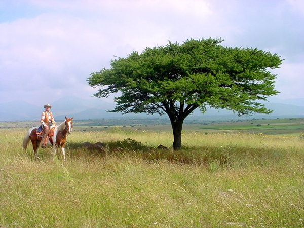 mexico horseback riding vacations photos