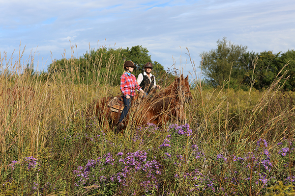 darley newman riding horse through midewin national tallgrass prairie in illinois