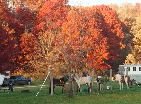 Minnesota horse camping