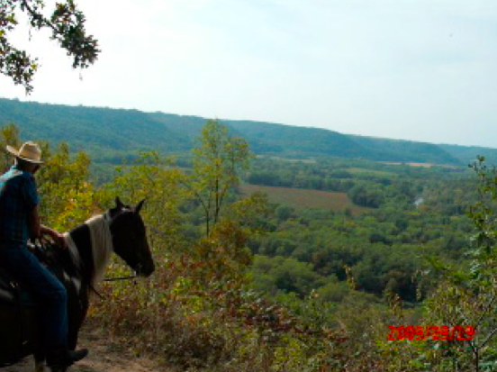 Minnesota horseback