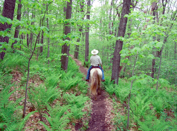 Minnesota single track horse trails