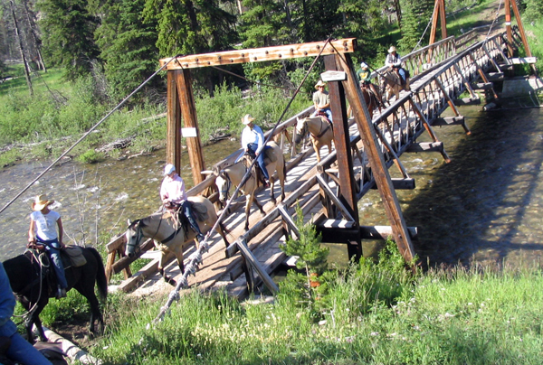 Montana horse pack trips A Lazy H Outfitters