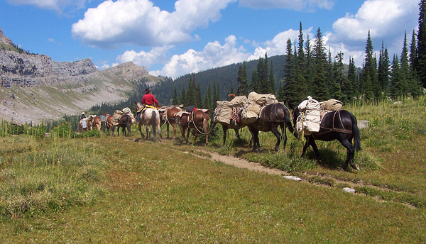 A Lazy H Outfitters montana pack trips