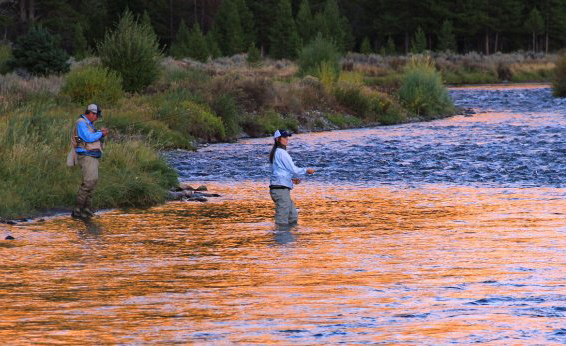 montana fly fishing