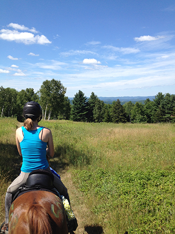 moonlight horseback riding