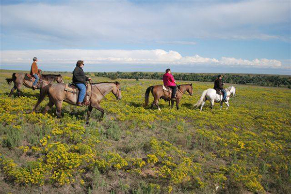 Moore Ranch Kansas