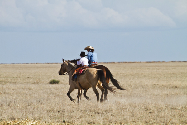 mother son horse riding