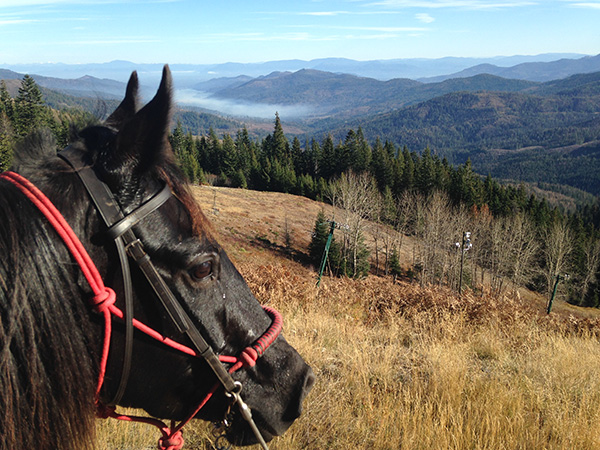 Mount Spokane Washington horseback