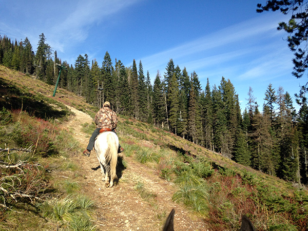 Mount Spokane Washington horseback