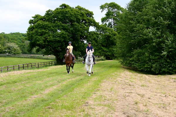 mount juliet estate equestrian vacation