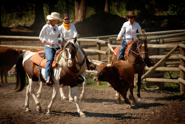 mountain sky guest ranch team penning