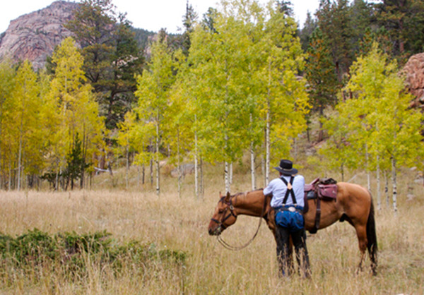 mountain horse ride