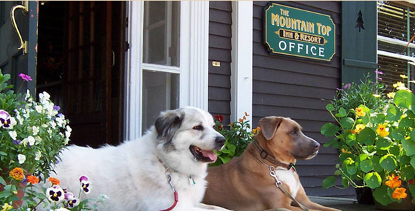 mountain top inn pet friendly