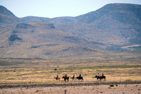 mountains horseback arizona