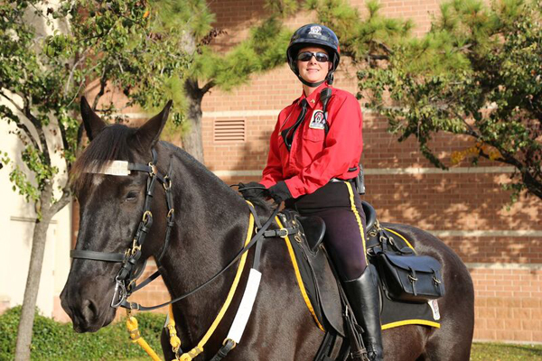 Mounted Patrol Horse and Rider