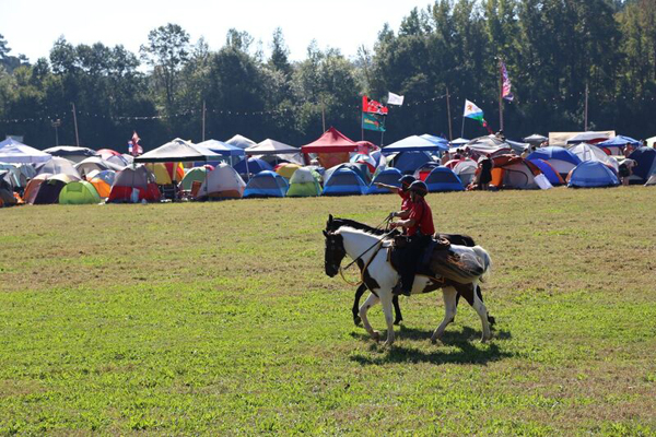 Mounted Patrol Horses and Riders