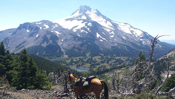 Mt Jefferson horseback riding Pacific Crest Trail