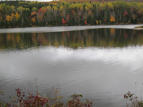 muddy pond 