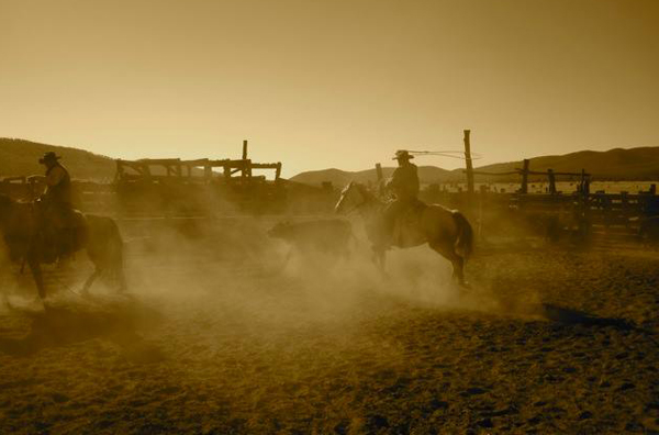 horseback riding nm gila