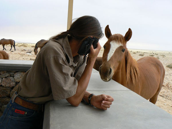 Namibia Horse Safari Company Wild Horses