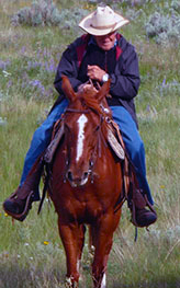 nate brown wyoming horseworks