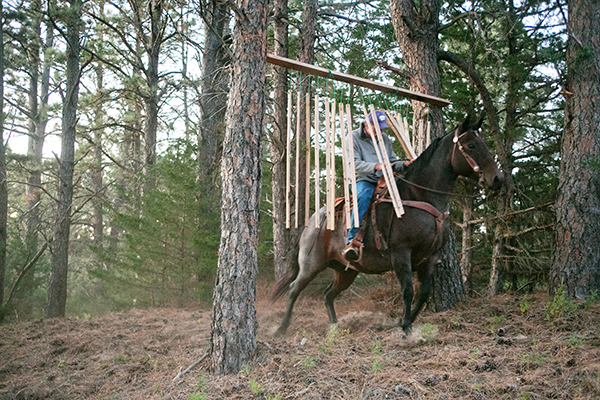 Nebraska National Forest horseback riding obstacles