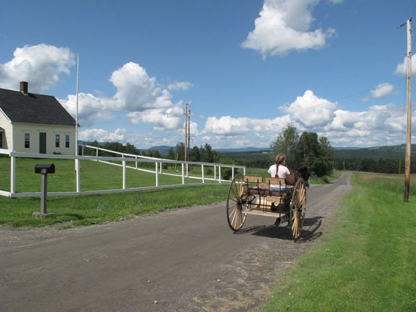 New England carriage driving vacation maine