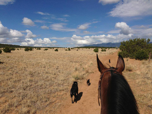 new mexico trail riding