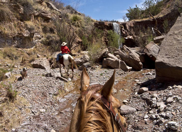 new mexico waterfalls horseback ride