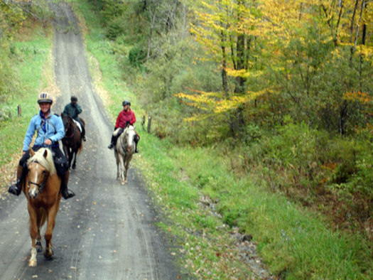 mary everhart trail riding in new york state