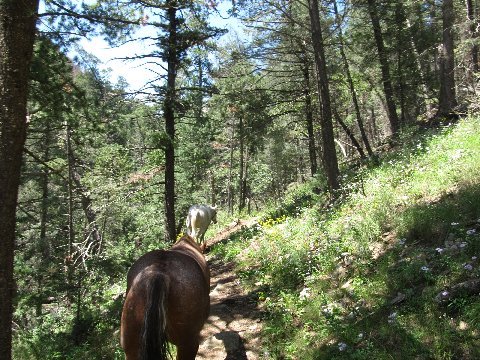 new mexico trail riding argentina loop