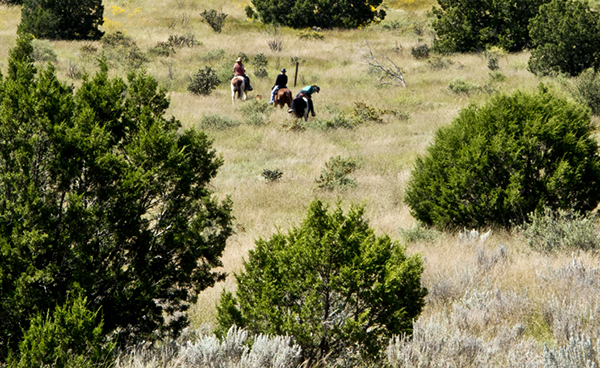 new mexico horseback fort stanton