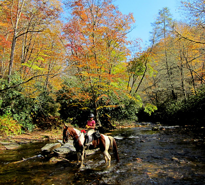 north mills river north carolina horseback riding trails