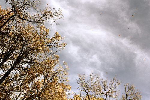 north dakota ranch sky