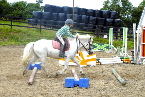 oakwood stables ireland childrens riding holidays pony camps