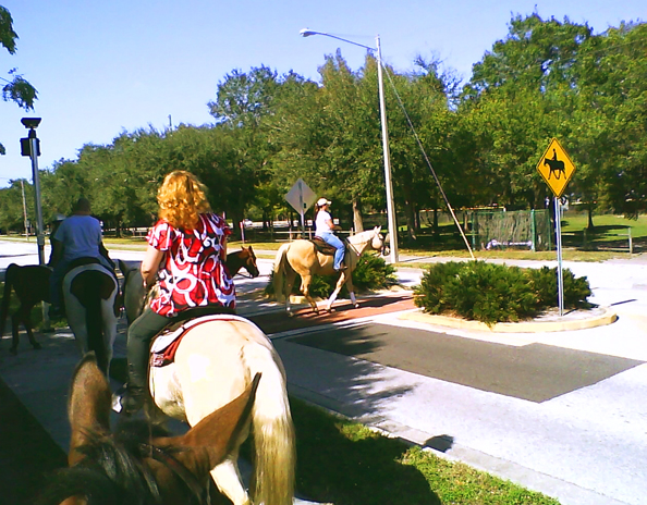 Ober horse riding florida