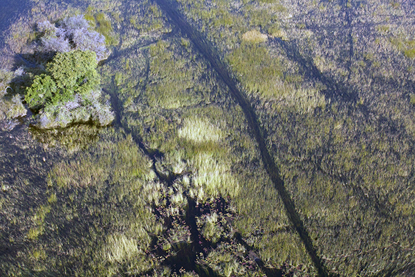 okavango delta botswana