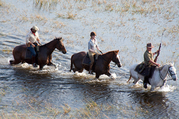 Okavango Delta horse swim