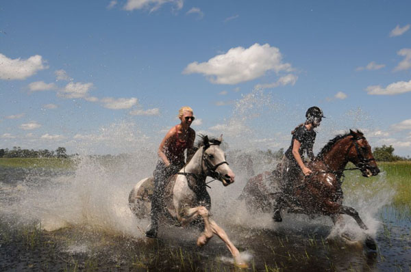 Okavango Delta Galloping Through Delta