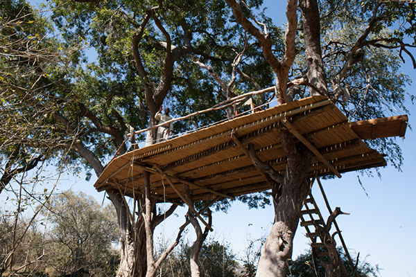 Okavango Delta treehouse