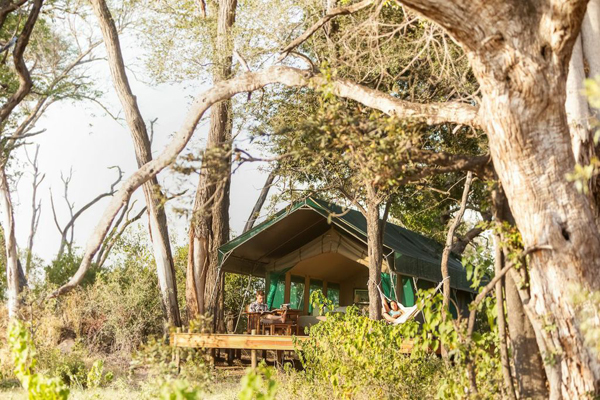okavango delta horse safari tented accommodations