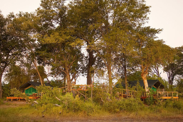 okavango delta horse safaris