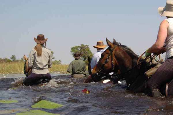 Okavango Delta horse riding