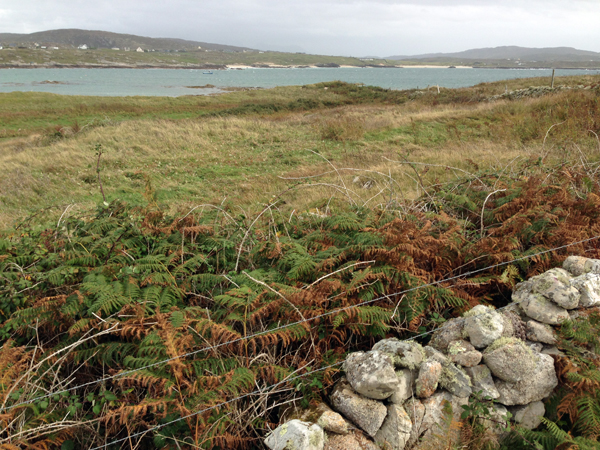 Omey Island Connemara Ireland