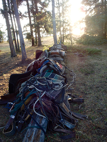 pack trip gear yellowstone national park 