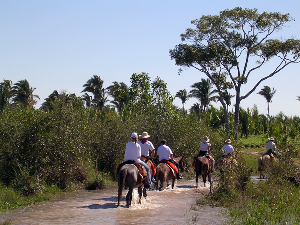 Brazil's Pantanal