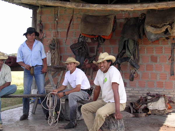 Brazil cowboys