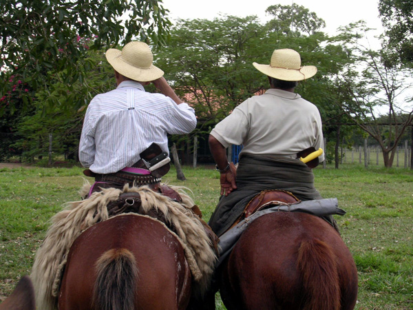 Brazil's Pantanal